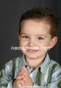 丹參的功效(丹參對男性性功能影響)