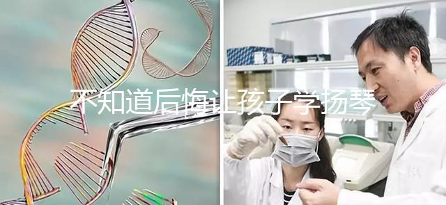 不知道后悔讓孩子學揚琴怎么辦看這,年齡是決定因素