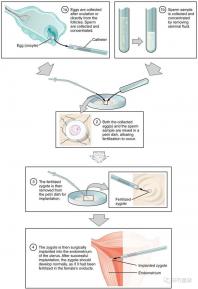 不知欽州哪家男科醫院好戳，機構能不能一目了然