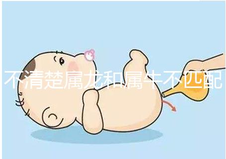 不清楚屬龍和屬牛不匹配戳，再一起看財運就夠了