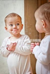 不造只有一個凍胚8細(xì)胞二級成功率高不高進(jìn),能否著床來瞅