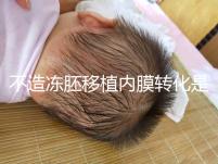 不造凍胚移植內(nèi)膜轉(zhuǎn)化是什么意思?介紹了C型能否改善