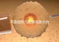 不造促排九天卵泡多大合適的瞧，卵巢功能好卵子10還能長