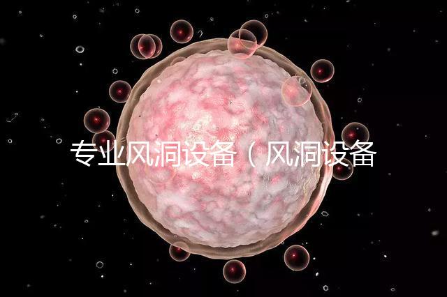 專業(yè)風(fēng)洞設(shè)備(風(fēng)洞設(shè)備廠家)