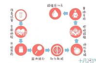 專治停經(jīng)、絕經(jīng)、卵巢早衰?利維愛的作用與適應(yīng)癥分析