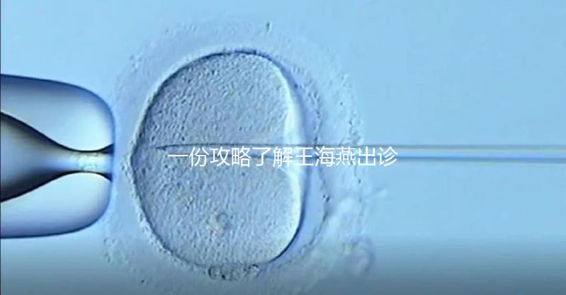 一份攻略了解王海燕出診表，讓你在北醫(yī)三院掛號(hào)更簡(jiǎn)單