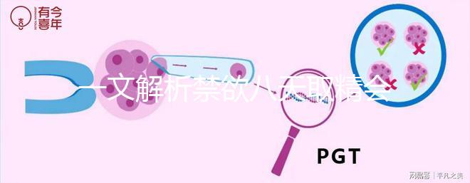 一文解析禁欲八天取精會不會懷孕，影不影響質量都有總結