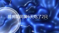 排卵期同房6天吃了2只螃蟹怎么辦戳，對著床影響大要早知