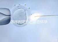 怎樣判定自己是否懷孕