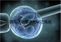 提高胚胎著床秘訣之免疫球蛋白，移植前后注射作用竟不同