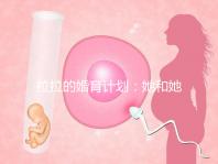 拉拉的婚育計(jì)劃:她和她相戀十幾年,終于在塞班結(jié)婚了!