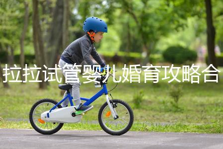 拉拉試管嬰兒婚育攻略合輯,期待新生命,為自己而活(三)