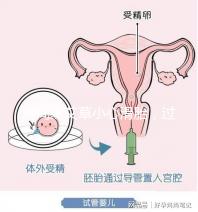 房間熏艾草小心滑胎,過度使用這些危害后悔沒早知道