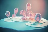 成都早教中心費用表來襲,2024年哪個便宜?