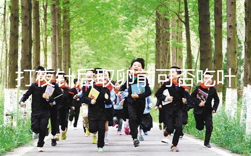 打夜針后取卵前可否吃葉酸看這，能提高卵子質量可別不信