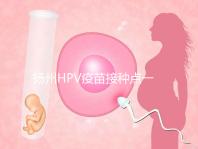 揚州HPV疫苗接種點一覽,廣陵社區(qū)預(yù)約九價、四價不難