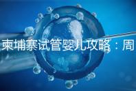 柬埔寨試管嬰兒攻略:周期和時(shí)間規(guī)劃全解析!