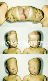 有兩個原因是國家禁止中非混血中國會接受嗎?