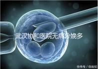 武漢協(xié)和醫(yī)院無(wú)痛分娩多少錢(qián)答案在這,住院一天費(fèi)用不高