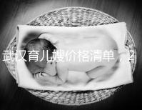 武漢育兒嫂價格清單,2024年橋口等正規機構不要錯過