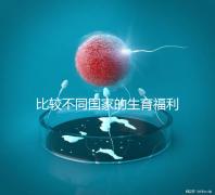 比較不同國家的生育福利｜生孩子還能拿到錢嗎？