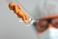 泰國在哪里做試管嬰兒好（泰國在哪里做試管嬰兒好一點）