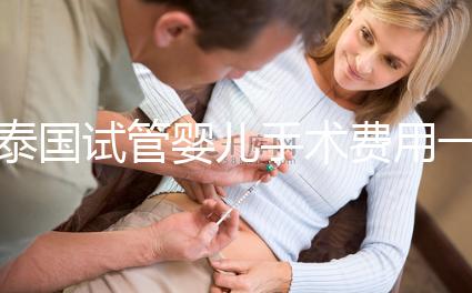 泰國試管嬰兒手術費用一覽,2025年價格行情