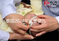 泰國2024年試管嬰兒攻略索引：證書，結婚證是硬條件