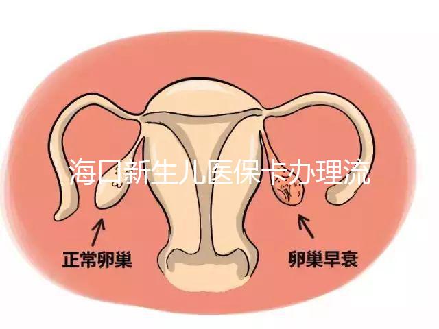 ?？谛律鷥横t?？ㄞk理流程更新，附2024秀英、龍華區手續
