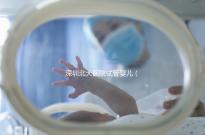 深圳北大醫院試管嬰兒(深圳北大醫院試管嬰兒要多少錢)