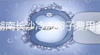 湖南長(zhǎng)沙冷凍卵子費(fèi)用多少?中信湘雅盧光琇教授這樣說(shuō)...
