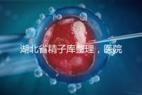 湖北省精子庫整理，醫(yī)院地址、排名、供精費(fèi)用這都有