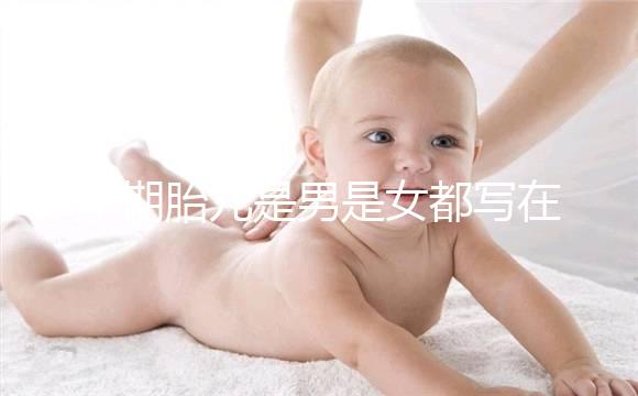 孕期胎兒是男是女都寫在B超單上，或真能一眼看出來