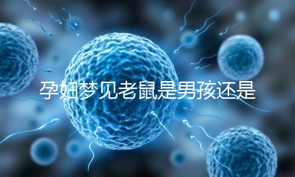 孕婦夢見老鼠是男孩還是女孩不再糾結(jié),詳細預(yù)兆解讀看這