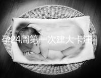 孕24周第一次建大卡注意!要不要空腹抽血看這里