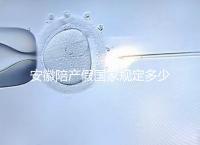 安徽陪產(chǎn)假國家規(guī)定多少天更新，2024淮南何時(shí)開始執(zhí)行戳