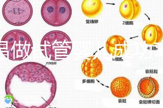 宜昌做試管嬰兒成功率和費用多少？先看哪些醫院能做吧！