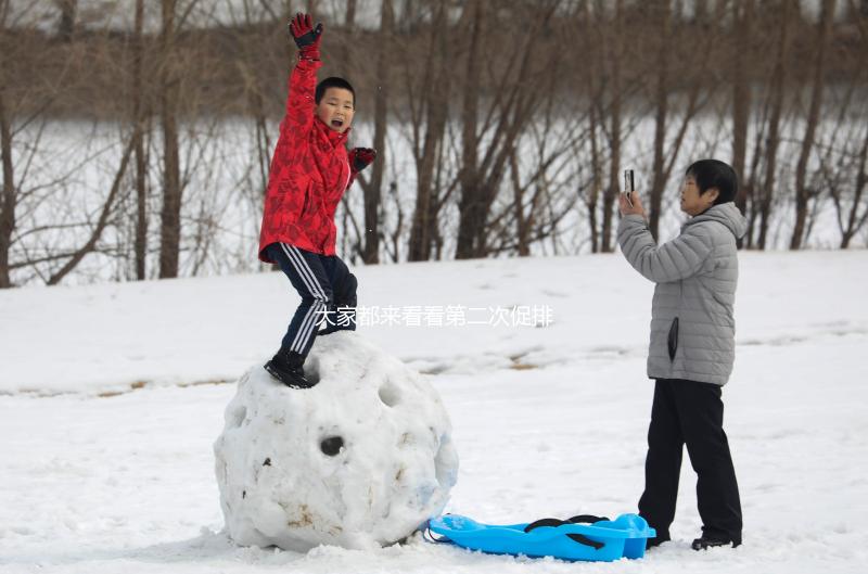 大家都來看看第二次促排卵懷孕的幾率，成功率高不高都總結(jié)了一下