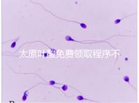 太原葉酸免費領取程序不難,@準媽媽們:小店區這里可領