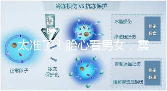 太準(zhǔn)了!胎心看男女,震驚結(jié)果大于150就一定是女孩