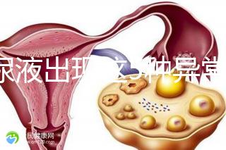 當尿液出現這5種異常情況，那么腎功能檢查刻不容緩