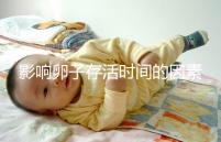 影響卵子存活時(shí)間的因素剖析:年齡起主導(dǎo)作用