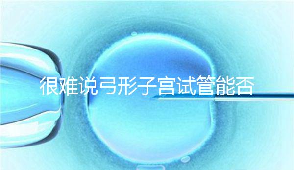 很難說弓形子宮試管能否成功足月生產，或者很難注意