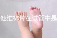 屈他維林片在試管中是否有副作用,導致胎停不是空穴來風