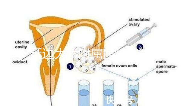 延邊大學附屬醫院試管怎么樣，助孕成功率、收費目錄表奉上