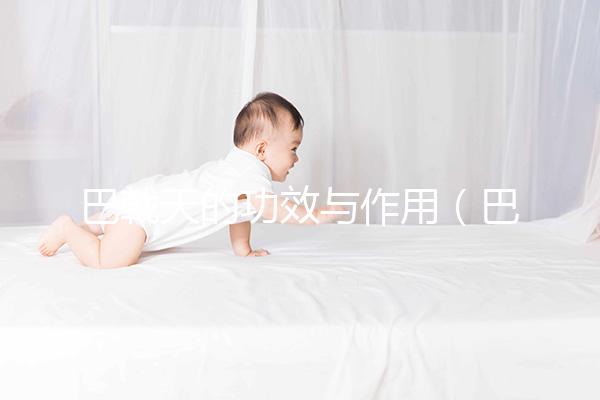 巴戟天的功效與作用(巴戟天配什么壯陽最猛)