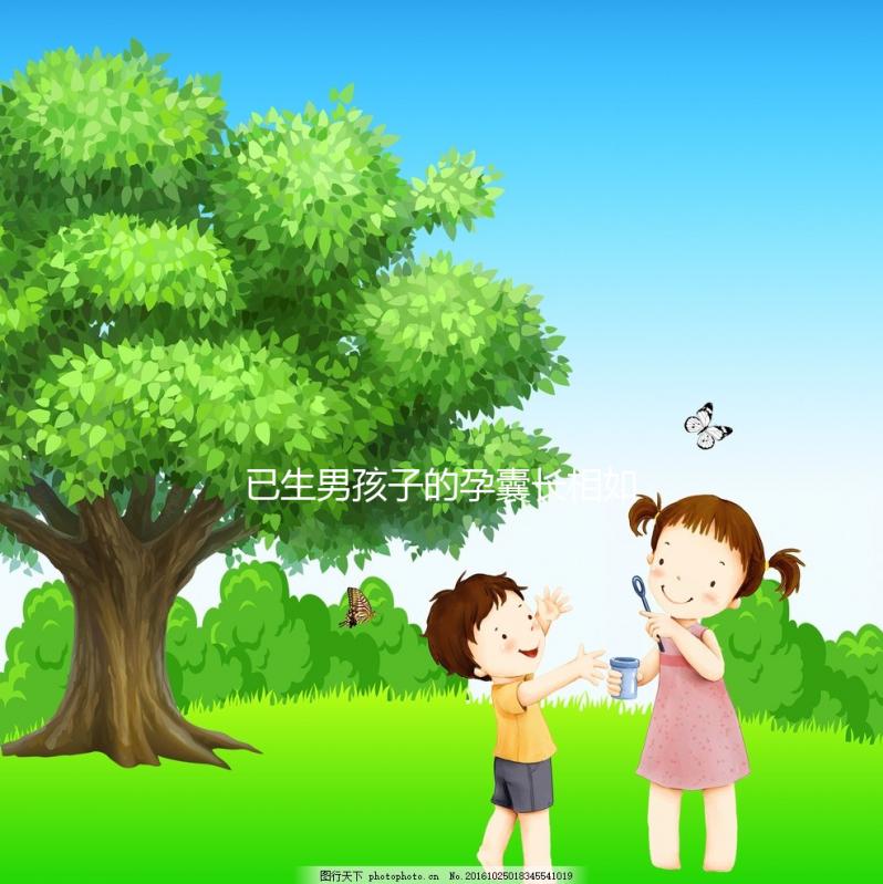 已生男孩子的孕囊長相如此怪異，圖片參考對照看看