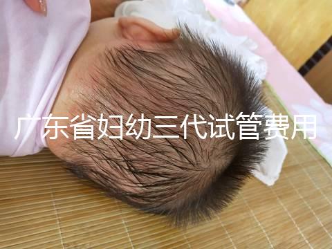 廣東省婦幼三代試管費(fèi)用明細(xì),助孕醫(yī)生揭開(kāi)價(jià)格貴的真相