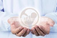 年周期數(shù)排行前三?泰國做試管嬰兒這幾家醫(yī)院了解下