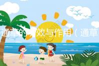 通草的功效與作用（通草的功效與作用主要治什么?。? /></div><small lang=